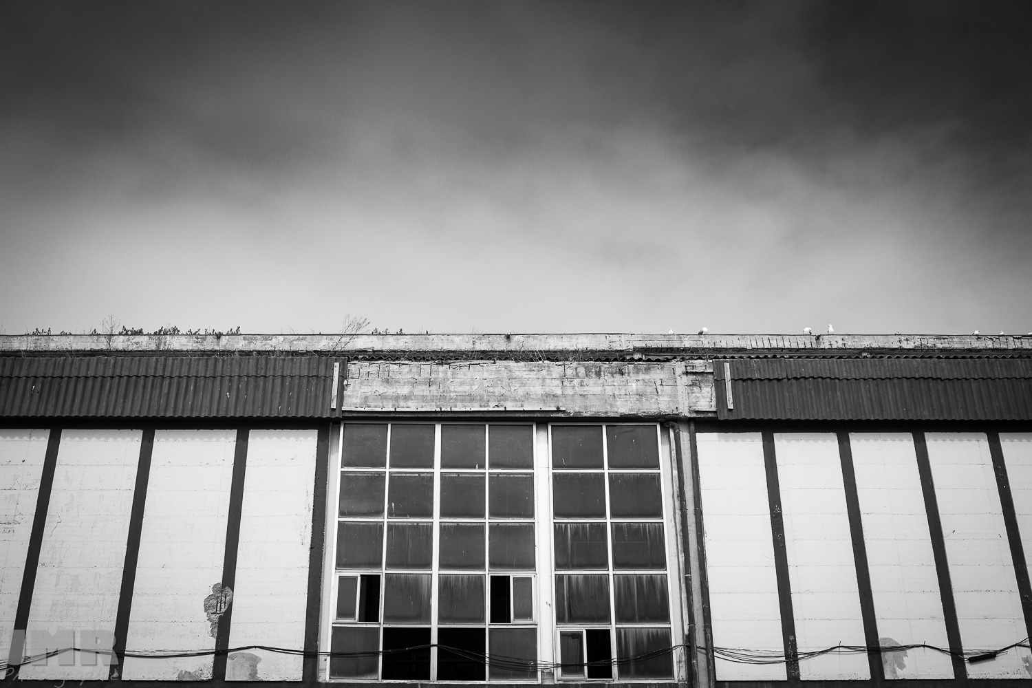 2017 08 2017 08 26 9P3A6850