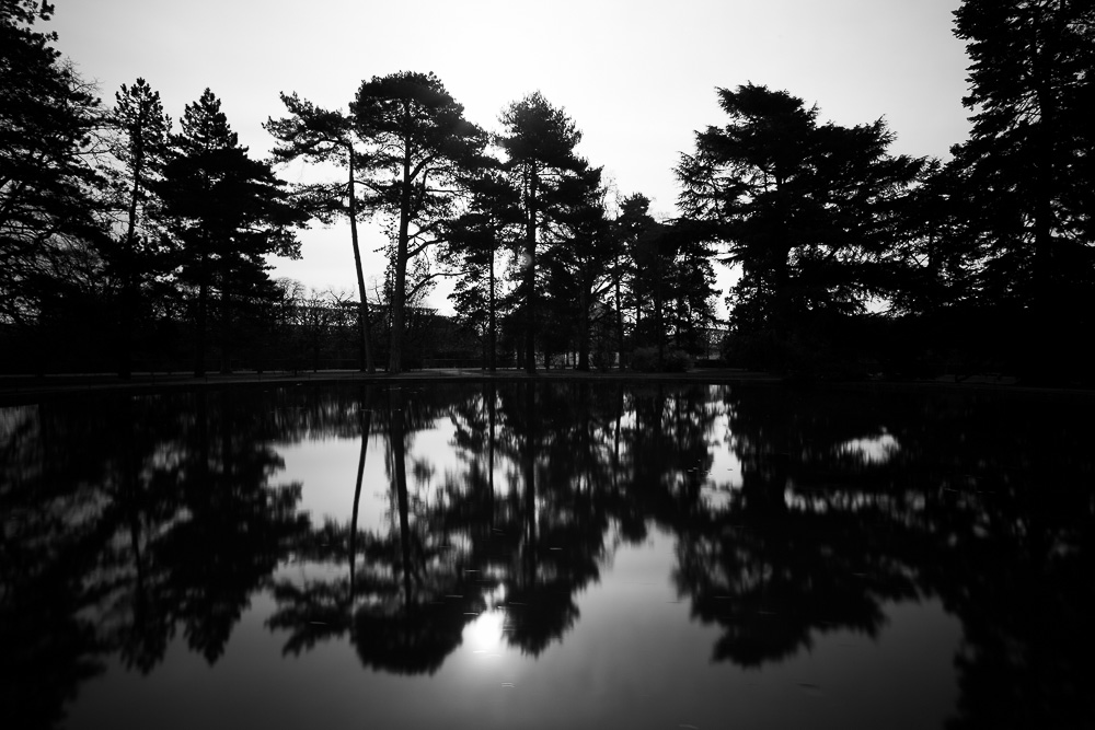 2014 03 2014 03 29  P3A5414