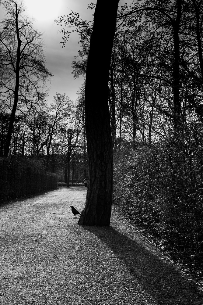 2014 03 2014 03 29  P3A5430