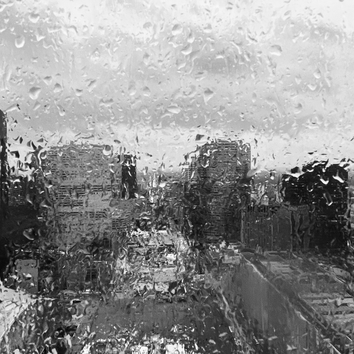 2022 12 28 IMG E2558