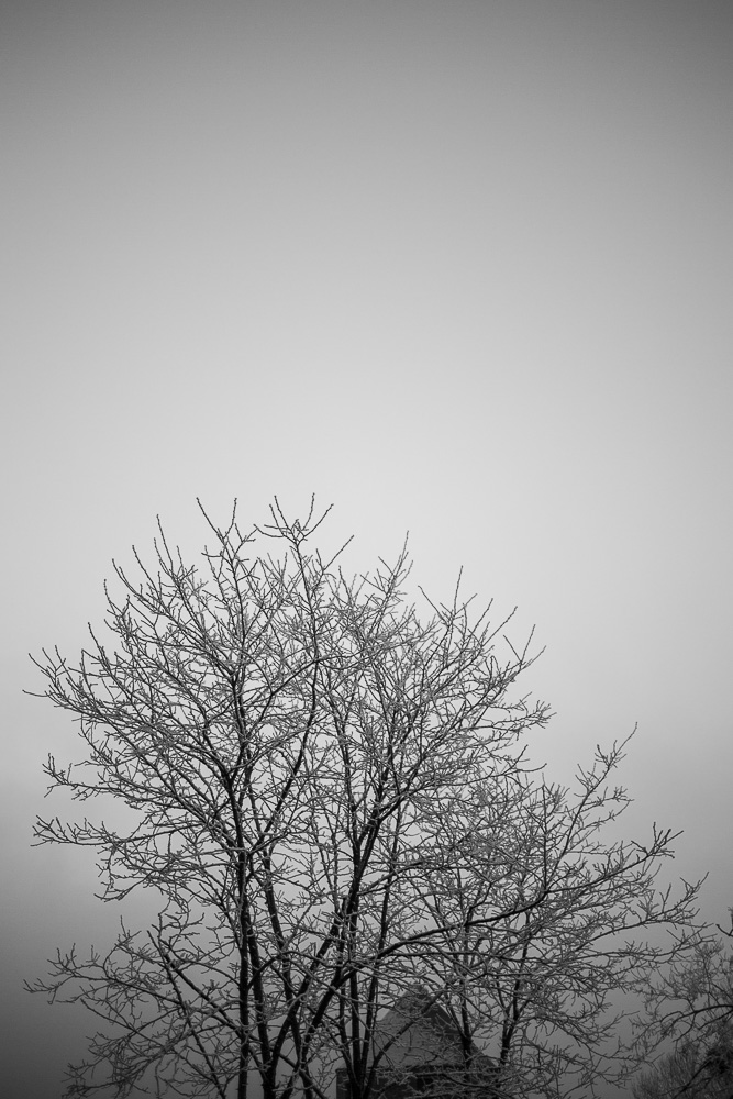 2016 12 2016 12 30  P3A5138