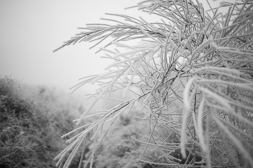 2016 12 2016 12 30  P3A5144