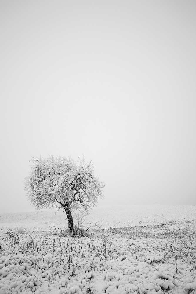 2017 01 2017 01 01  P3A5188