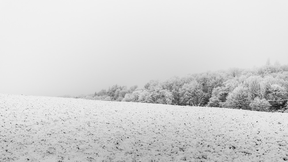 2017 01 2017 01 01  P3A5198