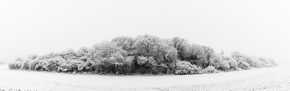 2017 01 2017 01 01  P3A5227 Panorama