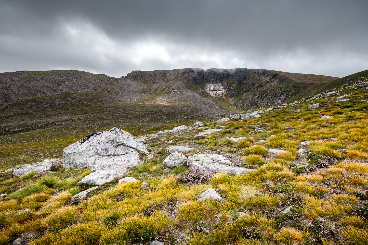 2018 08 2018 08 04  DSF9881