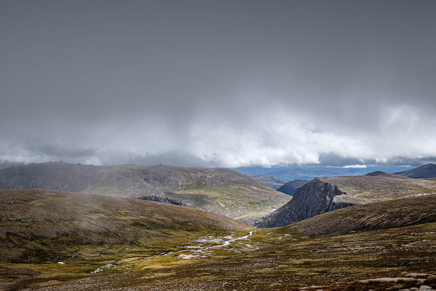 2018 08 2018 08 04  DSF9918