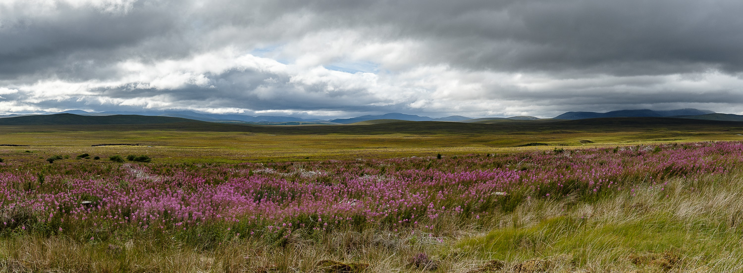 2018 08 2018 08 06  DSF0166 Panorama