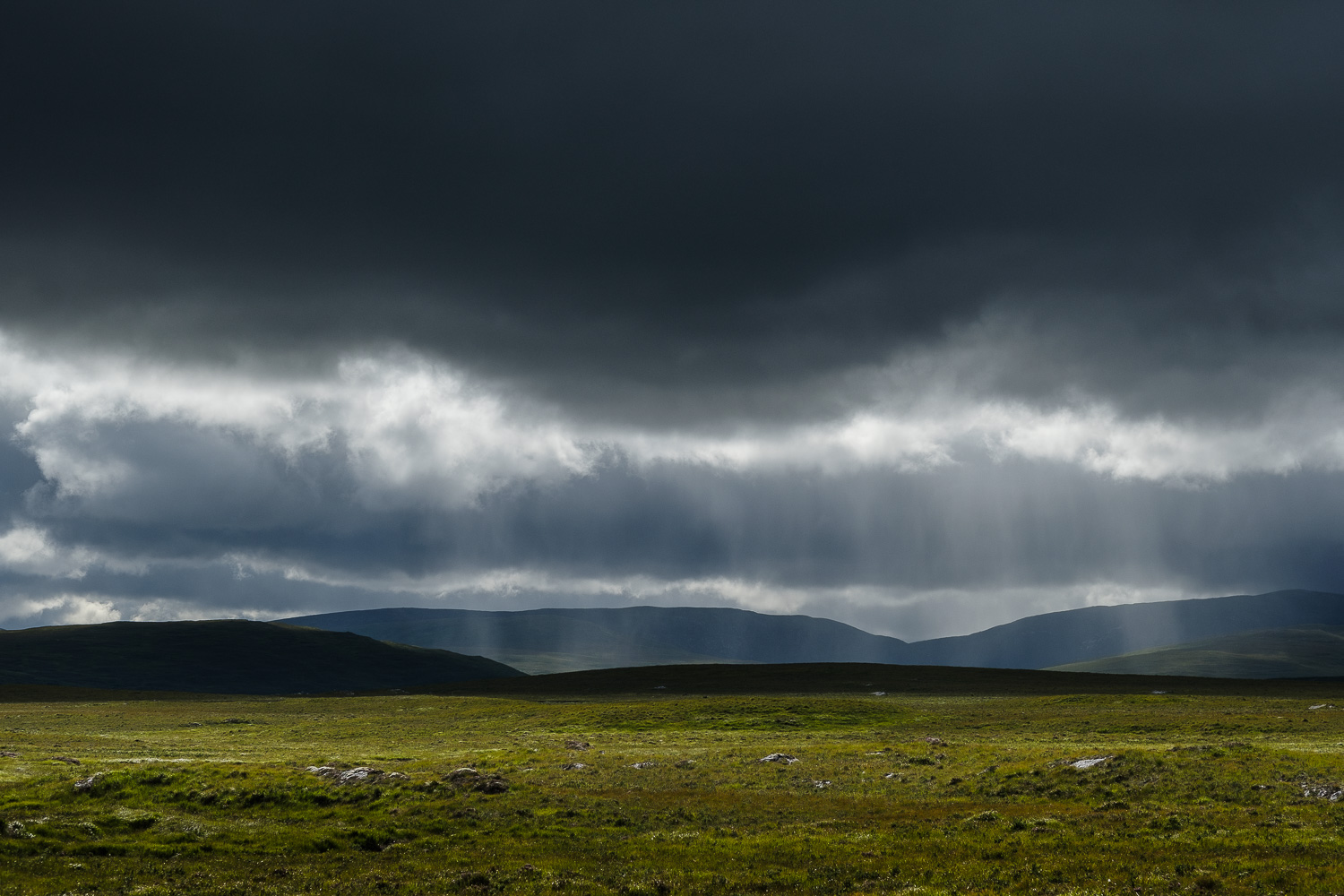 2018 08 2018 08 06  DSF0191