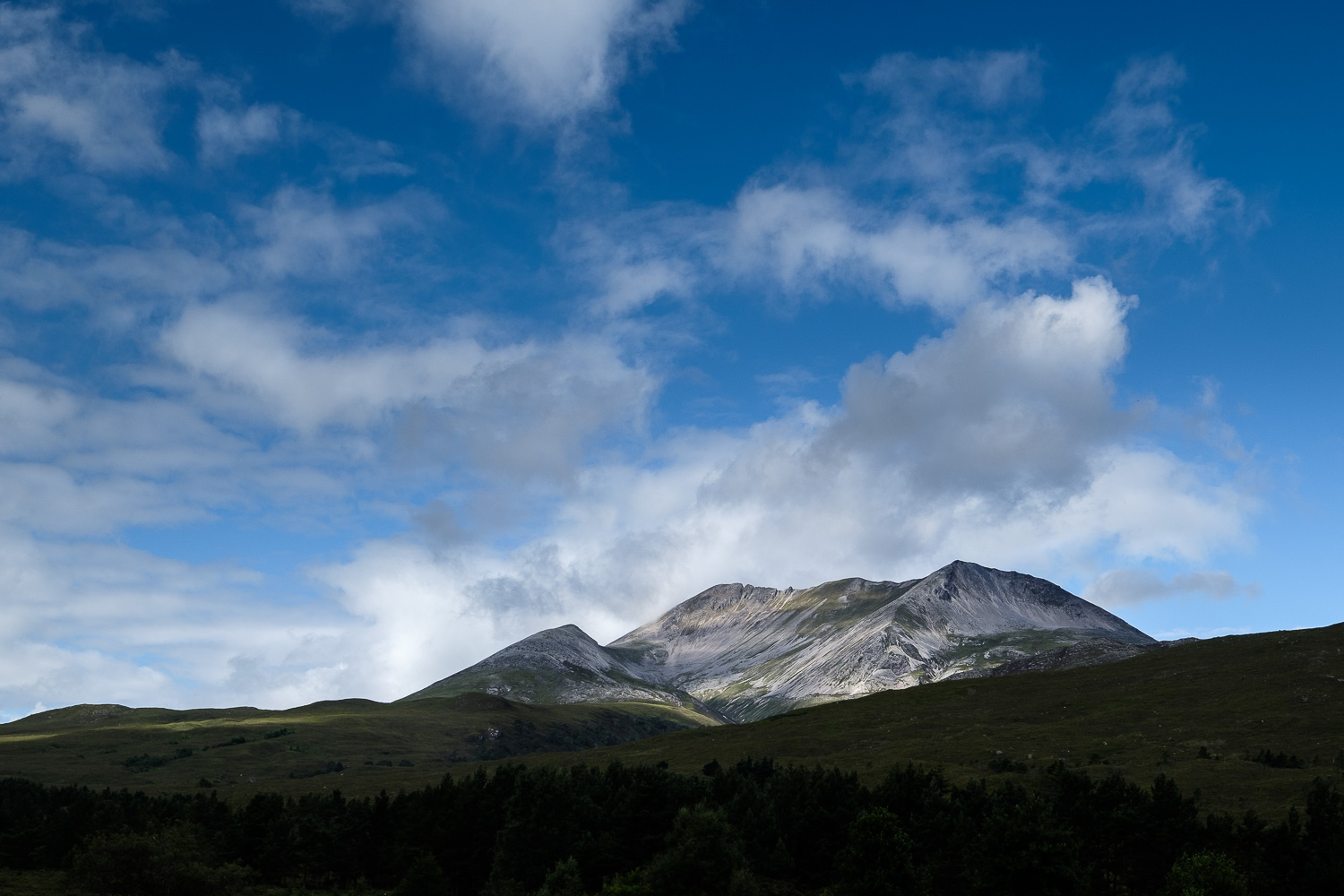 2018 08 2018 08 08  DSF0315