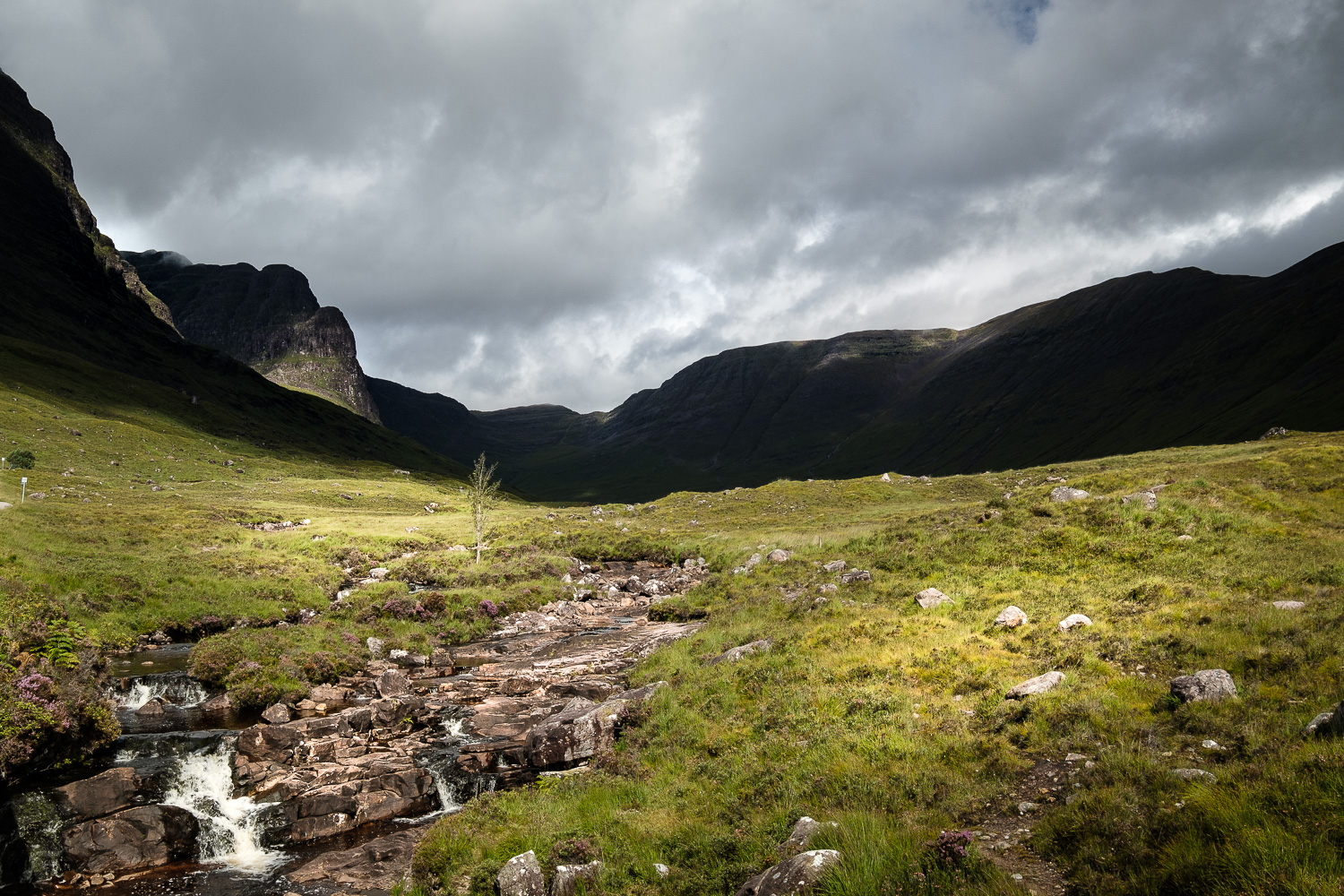 2018 08 2018 08 08  DSF0349