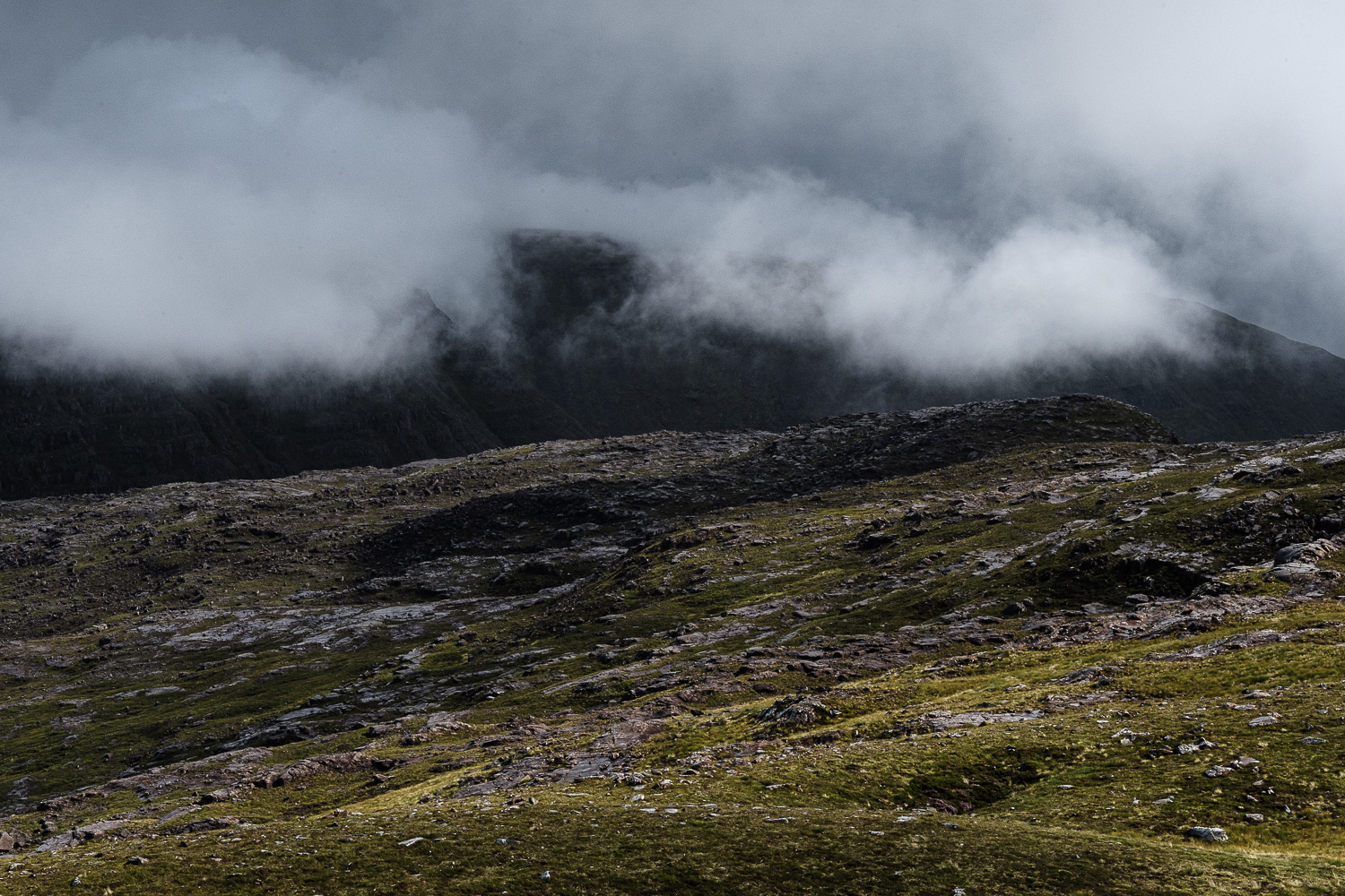 2018 08 2018 08 08  DSF0376