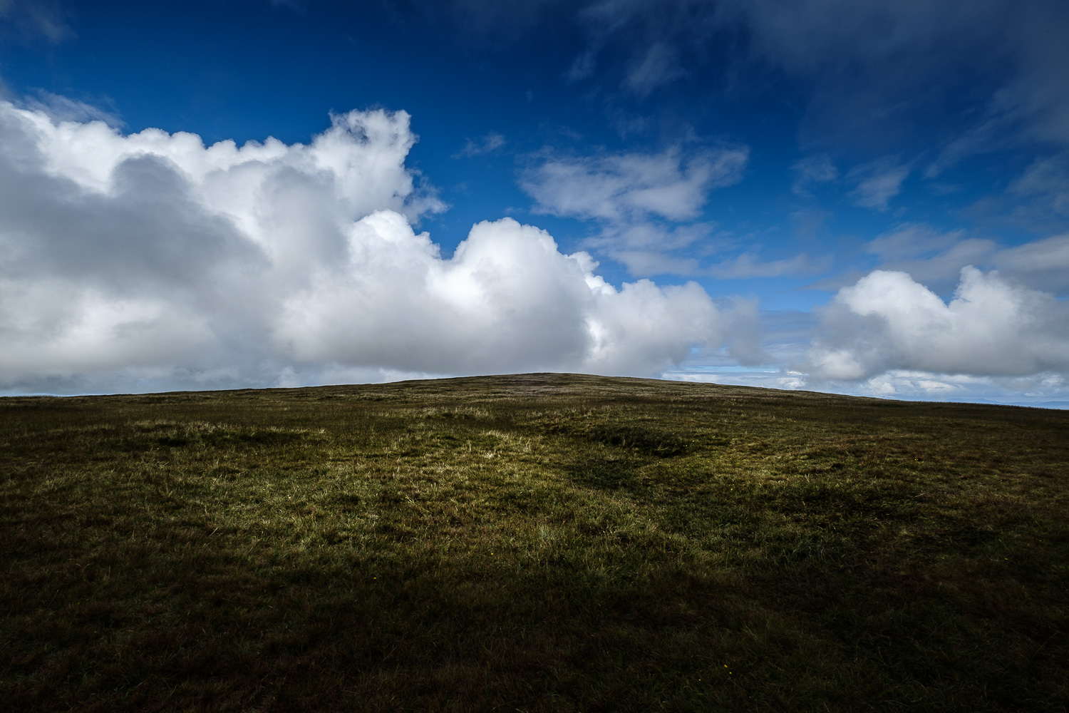 2018 08 2018 08 10  DSF0733