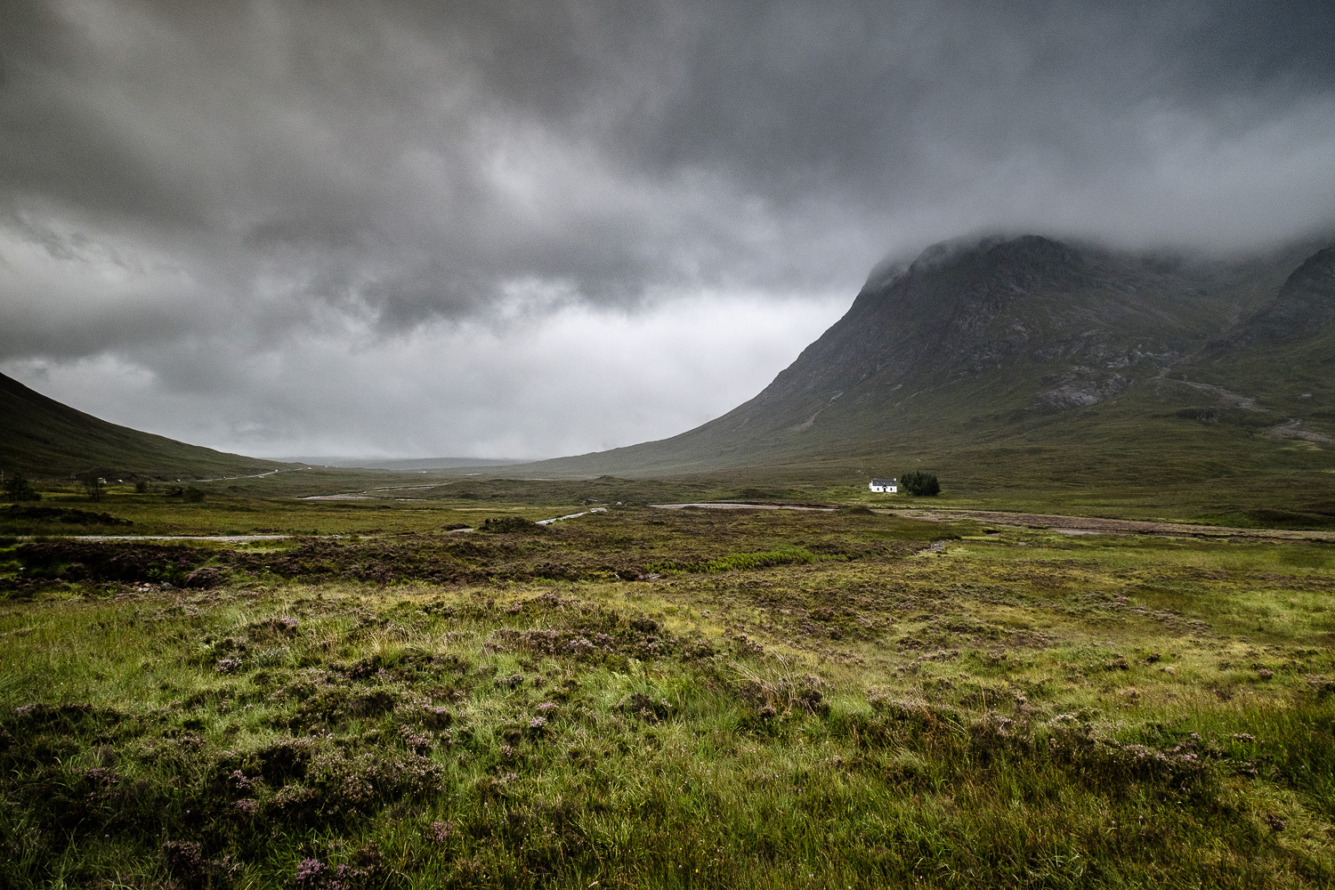 2018 08 2018 08 14  DSF1038