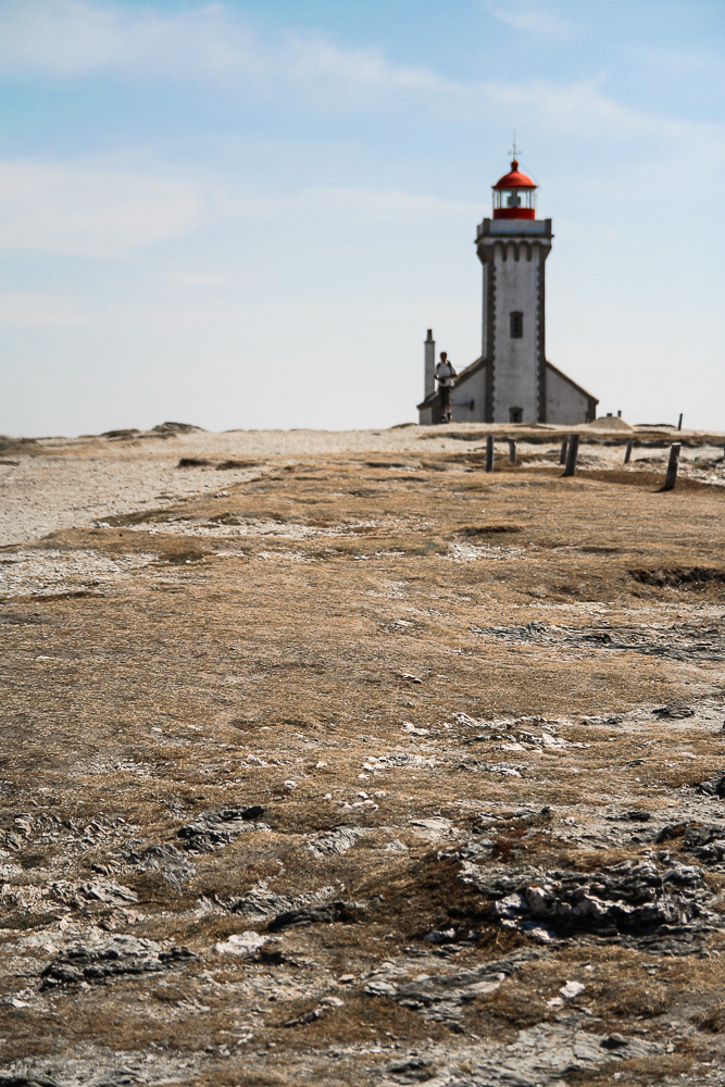 Le Phare des poulains