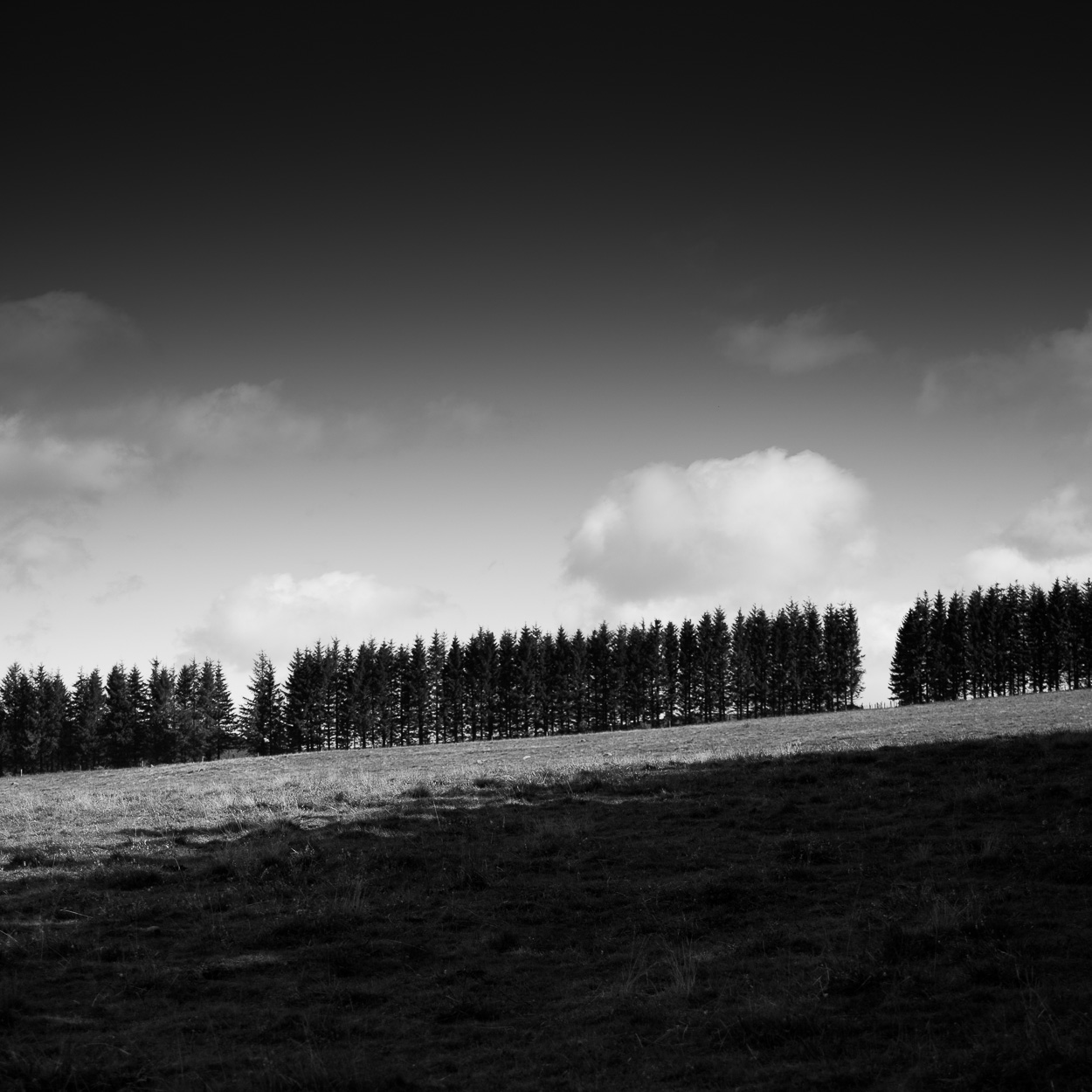 Solitude sur l'Aubrac
