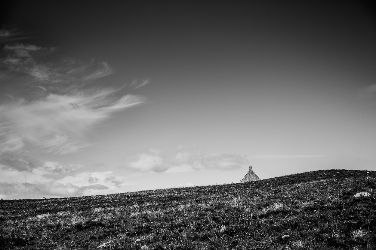 2014 08 2014 08 21  P3A8284